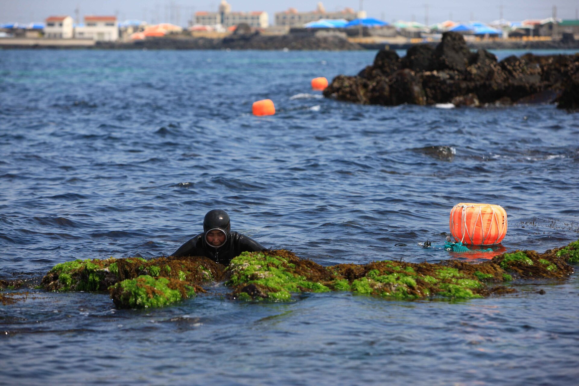 Haenyeo (mergulhadoras)